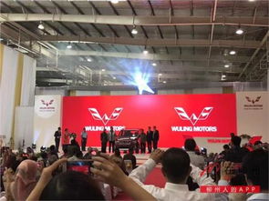 廣濰壽光五菱投資管理 實現企業穩健發展的戰略路徑